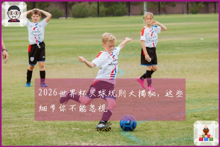 2026世界杯买球规则大揭秘, 这些细节你不能忽视