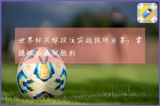世界杯买球投注实战技巧分享，掌握玩法赢取胜利