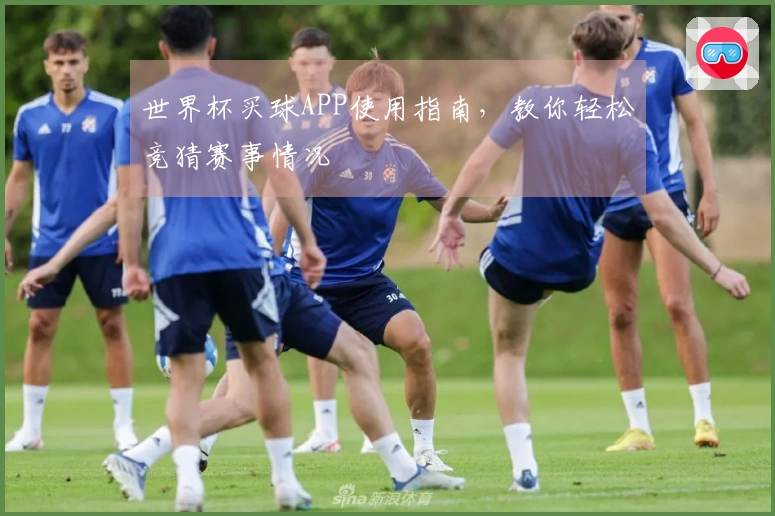 世界杯买球APP使用指南，教你轻松竞猜赛事情况