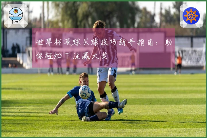 世界杯滚球买球技巧新手指南，助你轻松下注赢大奖